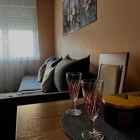 Apartman Milkovic 2 松博尔 外观 照片