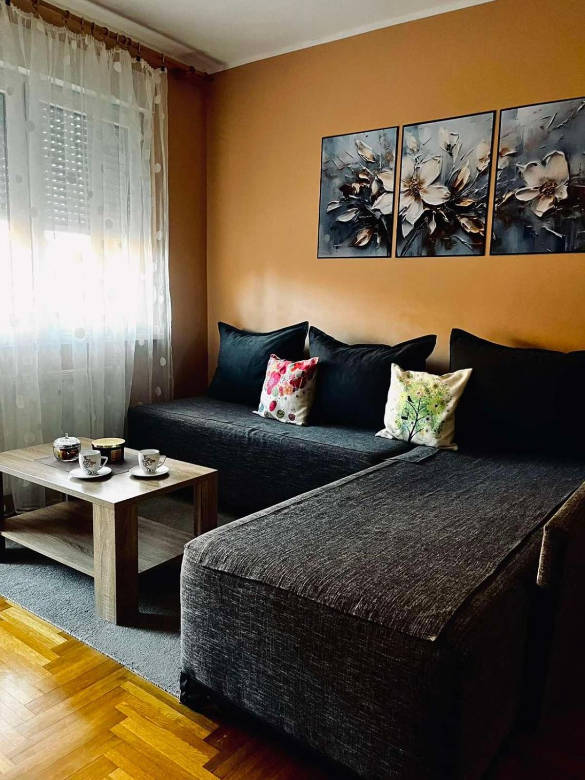 Apartman Milkovic 2 松博尔 外观 照片